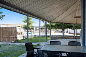 Iguana studio 11